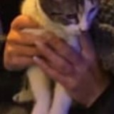 Morita