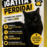 negrita