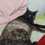 Lily
