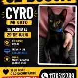 Cyro