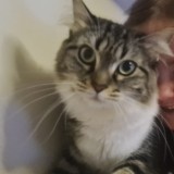 Lola