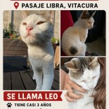 Leo