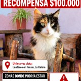 Carlota