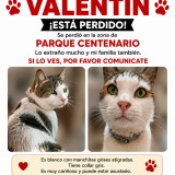 Valent&iacute;n