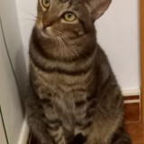 Ra
