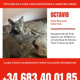 octavio