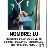 Lu