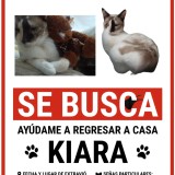 kiara
