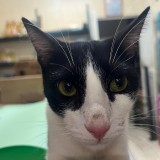 yuki