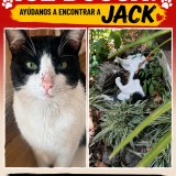 Jack