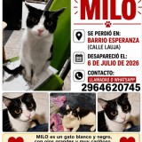 milo