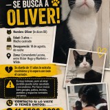 Oliver