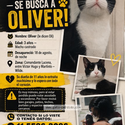 Foto 1/1 Oliver Gato perdido en Wilde