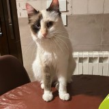 Rub&iacute;
