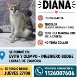 Diana
