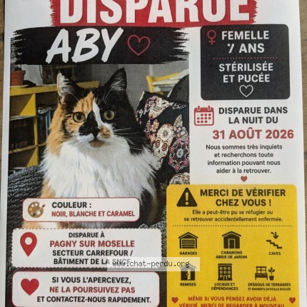 Foto de un gato reunido en Pagny Sur Moselle