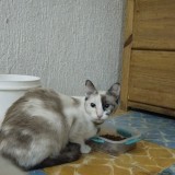 Almendra