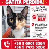 Ely