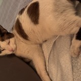 mily
