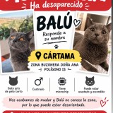 Balu