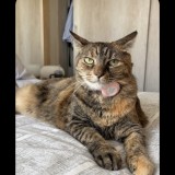 Frida