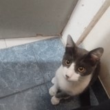 yukito