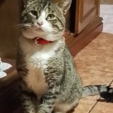 Benny