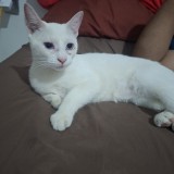 Maky