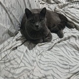 Benito
