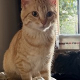 Eloise