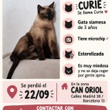 Curie