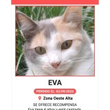 EVA