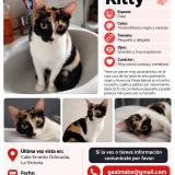Kitty