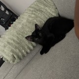 Tony