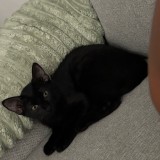 Tony