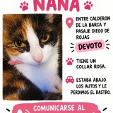 Nana