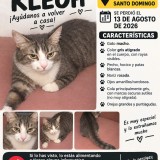Kleoh